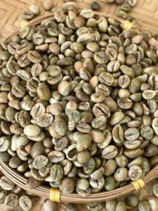 Factory Supply Robusta Selected Coffee <b>Beans</b> Robusta Size 16 Natural/ Honey Process OEM ODM <b>Bags</b> Over 90% Ripeness - Product Image 3