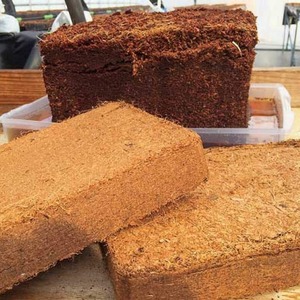 Premium Cocopeat 100% Natural Coconut Growing <b>Medium</b> High Water Retention for Gardening Hydroponics and Export Supply - Product Image 2
