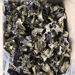 Hongo Negro Seco (Fungus Wood Ear) Procesado Cuidadosamente, con Grosor Uniforme, Color Oscuro y Buena Tasa de Rehidratación - Product Image 2
