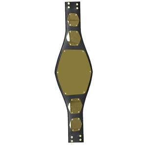 Cinturón de Campeonato de Lucha Libre Personalizado de la INDUSTRIA GLOWING NEON, en Cuero PU Deportivo con Impresión por Transferencia de Calor, Placas Doradas, Correa Negra, Unisex - Product Image 4