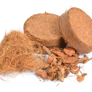 Bloc de tourbe de coco compressé de qualité supérieure pour la culture hydroponique, l'horticulture, les serres et les applications en pépinière - Product Image 6