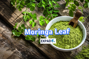 ใบมะรุมสำหรับชงชา ลดราคาพิเศษ - ผู้จัดจำหน่ายสมุนไพรธรรมชาติแบบขายส่ง รับบริการ OEM - Product Image 4