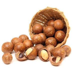 Wholesale Low Fat Health Snacks Milky Flavor Macadamia <b>Nuts</b> Delicious Roasted Macadamia <b>Kernel</b> - Product Image 2