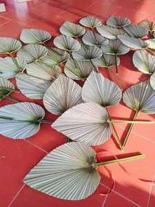 Proveedor de hojas de palma secas, fábrica de hojas de palma secas, hojas de palma secas al por mayor directamente de fábrica, fabricante de decoración ecológica para el hogar - Product Image 2