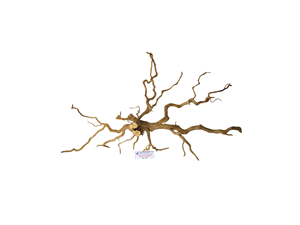Décoration d'aquarium en bois flotté naturel unique, forme irrégulière, ornement durable pour aquarium, fabriqué au Vietnam - Product Image 4