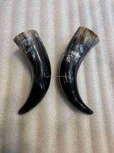 Par de Cuernos de Vaca Auténticos, Pulidos, Ecológicos, de Tamaño Mediano, Cuerno Natural para Arte y Manualidades a Precios Bajos - Product Image 5
