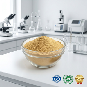 <b>Best</b> Quality Fuller's Earth Powder Premium Mineral Clay Bulk Manufacturer Wholesale Exporter Supplier India - Product Image 4
