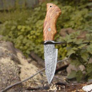 Couteau de chasse à lame fixe en acier Damas, personnalisé avec manche en bois d'olivier, pour survie en extérieur, camping et pêche - Product Image 4