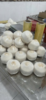 Verse jonge kokosnoot uit Vietnam, gemaakt van natuurlijk kokosnootschelpmateriaal, ideaal voor horeca en drankverwerking.
