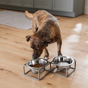 ชามอาหารสุนัขและแมวแบบอัตโนมัติสองชั้นทรงสี่เหลี่ยมพร้อมขาตั้งโลหะสีเทา - Product Image 4