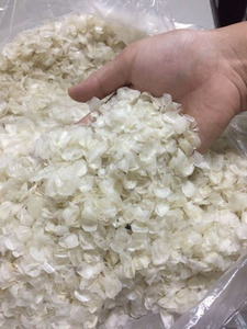 Écailles de poisson naturelles en vrac pour les acheteurs internationaux Vietnam - Product Image 2