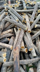 <span class=keywords><strong>Legna</strong></span> da Ardere 100% Naturale all'Ingrosso dal Vietnam - <span class=keywords><strong>Legna</strong></span> di Gomma Essiccata Senza Tasse d'Importazione - Product Image 2