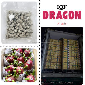 Spécialiste des fruits du dragon surgelés OEM – Variétés de fruits du dragon rouge et blanc surgelés IQF de qualité AA en provenance du Vietnam - Product Image 5