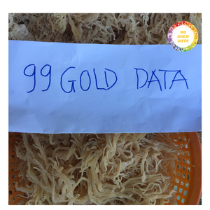 Musgo Marino Seco de Primera Calidad al por Mayor para Aplicaciones Alimentarias y de Bebidas - Product Image 6