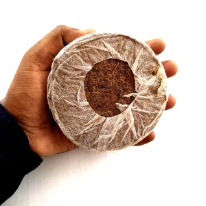 Venta al por mayor de pellets de fibra de coco de calidad de exportación para el desarrollo temprano de plantas, iniciador de semillas sin suelo, exportador de la India. - Product Image 1