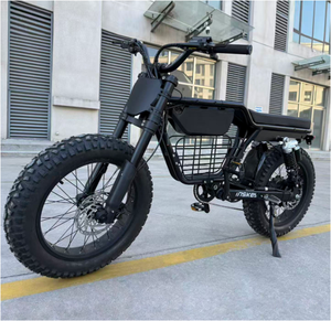 ENVÍO DIRECTO 2025 Amortiguadores Industriales Dobles de Plástico de Alta Calidad de 500W 1500W para Bicicletas Eléctricas Modelo 7654321534 para Nieve y Playa - Product Image 3
