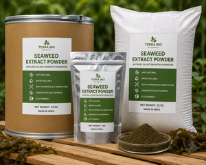 Extracto de Algas Marinas Soluble en Agua, Fertilizante Orgánico en Polvo, Polvo en Escamas - Product Image 5