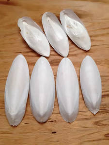 Hueso de Sepia Seco de Alta Calidad de Vietnam, 100% Natural Sin Blanquear Para Mascotas |   Hueso de Sepia - Product Image 3