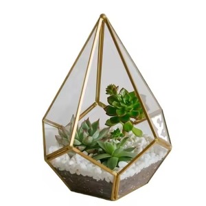 Unique Display Metal Terrarium Glass Planter Elegant Indoor Plant Holder Geometric Home Accent - Product Image 2