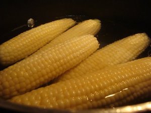 Maíz Dulce Hervido Congelado IQF de Vietnam en Mazorca, Amarillo, No Glutinoso, Maíz Congelado en Mazorca para Exportación a Granel - Product Image 1