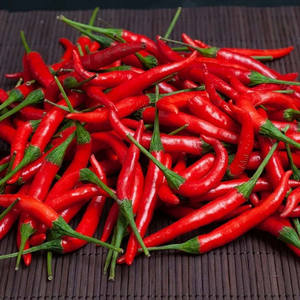 VENDO CHILI ROJO CONGELADO DE ALTA CALIDAD PROVEEDORES DE VIETNAM CON BUEN PRECIO - Product Image 2