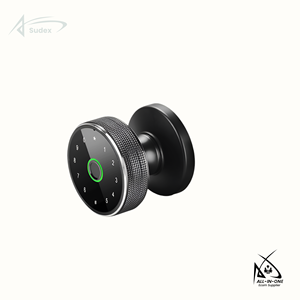 Sudex Smart Digital Fingerprint Wood <b>Door</b> Lock Tuya App Password Keyless Entry High Security for Cloud Storage Safe - Product Image 6