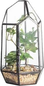 Nouveau terrarium en verre en forme de maison géométrique, mini serre d'intérieur avec couvercle pivotant pour plantes succulentes, pot de table pour la maison et le jardin - Product Image 2