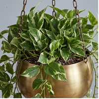 Dernière arrivée jardinière suspendue en métal finition laiton antique pot élégant pour la décoration d'entrée de maison prix raisonnable