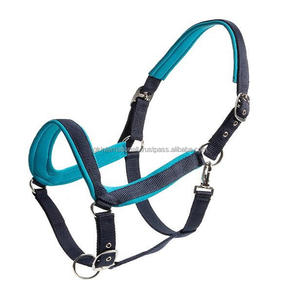 Halter en nylon noir rembourré doux et très confortable dans toutes les tailles et couleurs personnalisées avec matériel antirouille en acier inoxydable - Product Image 6