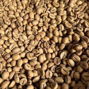 Cold Brew Roasted <b>Coffee</b> <b>Beans</b> Coarse Grind Available Smooth Flavor Low Bitterness Best for Refreshing Drinks - Product Image 2
