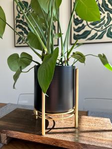 Maceta de Metal Negra con Soporte Dorado, Estilo Moderno de Mediados de Siglo, Elegante Exhibidor de Plantas para Interiores, para Sala de Estar - Product Image 2