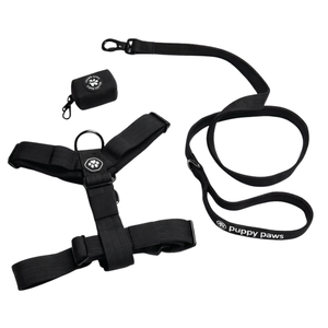 Conjunto de Arnés para Perro Sin Tirones Comfort Control Snow Cone con Correa a Juego y Clip Frontal Ajustable, Set de Entrenamiento para Paseos Diarios - Product Image 5