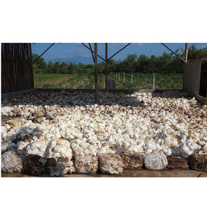 Suministro a Granel de Trozos de Caucho de Alta Calidad para Procesamiento Industrial y Plantas de Producción de Caucho - Product Image 3