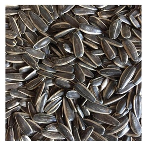 Graines de tournesol biologiques de haute qualité en gros, noyaux SPK - Product Image 1