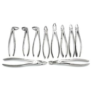 Ensemble de forceps d'extraction dentaire en acier inoxydable, kit d'instruments d'extraction dentaire par QASIDEN INSTRUMENTS - Product Image 4