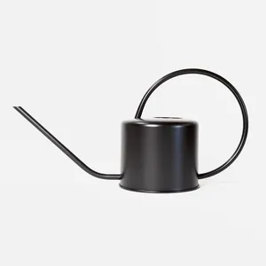 Arrosoir en métal durable de 1,5 L pour l'entretien des plantes, idéal pour le jardinage intérieur et extérieur, avec une poignée robuste pour une utilisation facile - Product Image 6