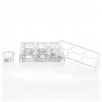 Inserts de culture cellulaire JET BIOFIL 12/24 puits, membrane PET 12/6,5 mm, traités TC, 0,1/0,4/1,0/3,0/8,0/12,0 µm, stériles