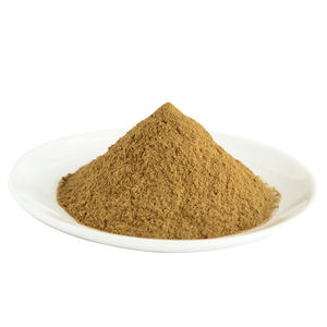 Extrait de racine d'Ashwagandha en poudre 10:1, 100% naturel, qualité export, fournisseur en gros d'Inde. - Product Image 2