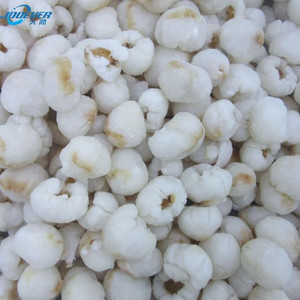 Approvisionnement en gros de litchis surgelés IQF du Vietnam à prix compétitif - Product Image 4