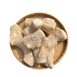 Bâton à mâcher pour chien TOP SELLING BLUE LOTUS Coconut - Durable, écologique, pour les mâcheurs agressifs, nettoyage dentaire, origine Ben Tre - Product Image 1