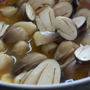 Hongo Fresco Premium – Volvariella Volvacea de Alta Calidad para Exportación, Precio Competitivo // Sr. Tom - Product Image 5