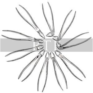 Pinces d'extraction dentaire, lot de 10 pièces, réutilisables, en acier inoxydable de qualité allemande, à prise manuelle, rouge, certifiées CE, RAW FINE - Product Image 5