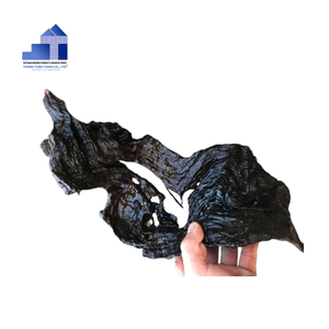 Hot Selling 2026 Handpicked Mangrove Driftwood Roots for Aquarium and Sustainable Reptile Decor Wholesale - Product Image 6