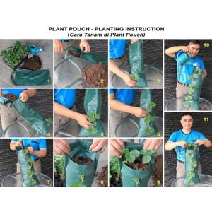 Jardinière verticale de haute qualité à 10 poches, sac de culture suspendu en HDPE, pochette murale pour plantes, jardinière pour fraises et herbes - Product Image 5
