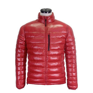 Chaqueta Roja Acolchada con Cuello Alto, Cierre de Cremallera, Resistente al Viento, Abrigo Casual de Invierno, Corte Ajustado, Manga Regular, Color Sólido - Product Image 1