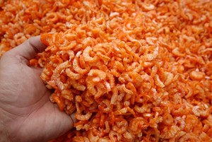CREVETTES SÉCHÉES NATURELLES D'ORIGINE VIETNAMIENNE / CREVETTES DE MER 100% PURES SÉCHÉES EN VENTE EN GROS - Product Image 5