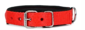 Colliers pour chiens en PP, fabrication directe d'usine, fabricant en gros en Inde, Divine International - Product Image 4