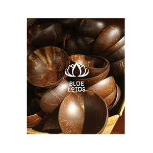 STOCK DISPONIBLE Bol en Coque de Noix de Coco Écologique pour Servir les Aliments et Présenter les Fruits, en Matériau Propre, pour Acheteurs Professionnels - Product Image 1