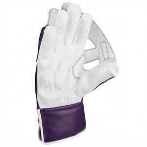 Fabricant direct de gants de gardien de but de cricket, vente en gros, personnalisation OEM et marque privée, approvisionnement en gros pour la distribution mondiale - Product Image 5