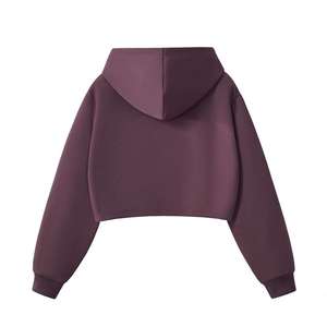 เสื้อฮู้ดครอปทรงสลิมฟิตปักโลโก้ตามสั่งสำหรับผู้ชาย ไซส์พลัส สไตล์ลำลอง มีซิป แขนสั้น สำหรับฤดูใบไม้ผลิ ODM - Product Image 3